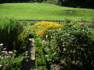 image-7765