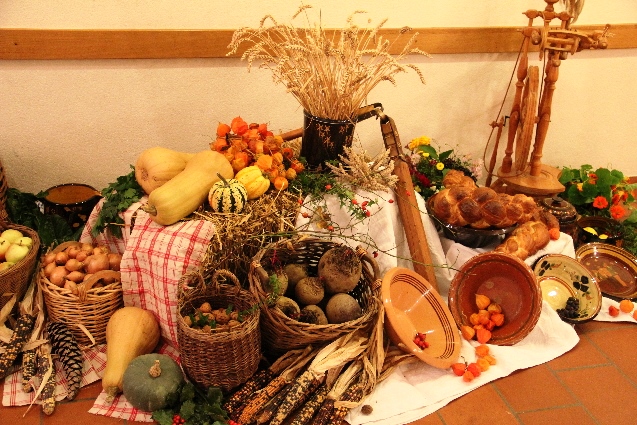 image-7010