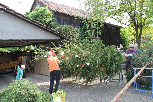 image-9638