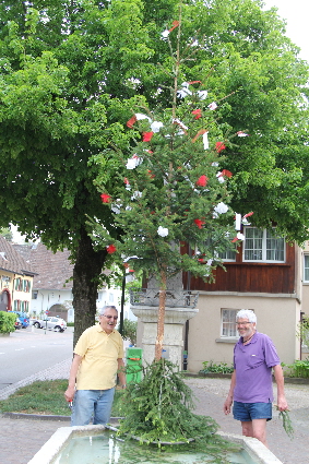 image-9653