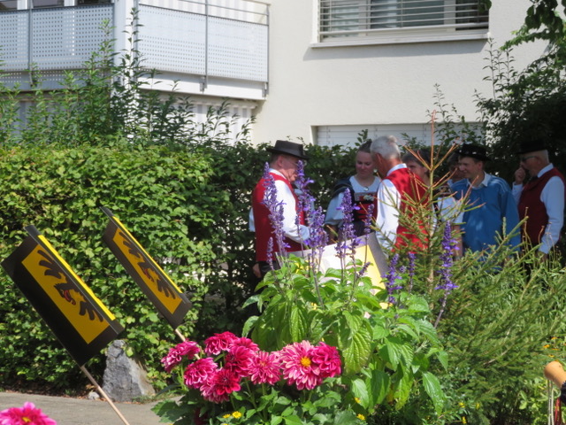 image-17076