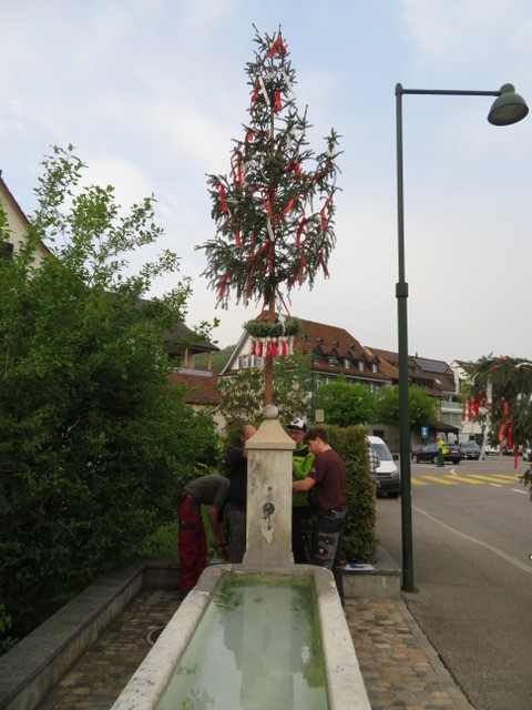 image-18749