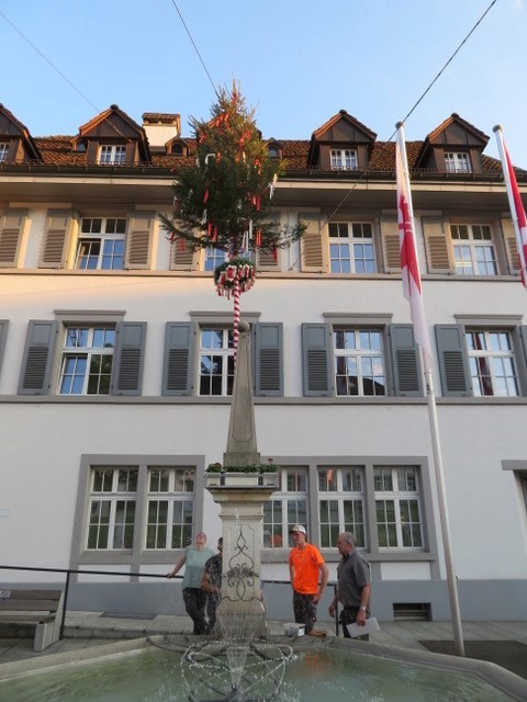image-19893