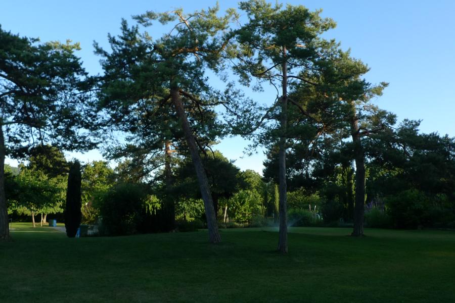 image-20125