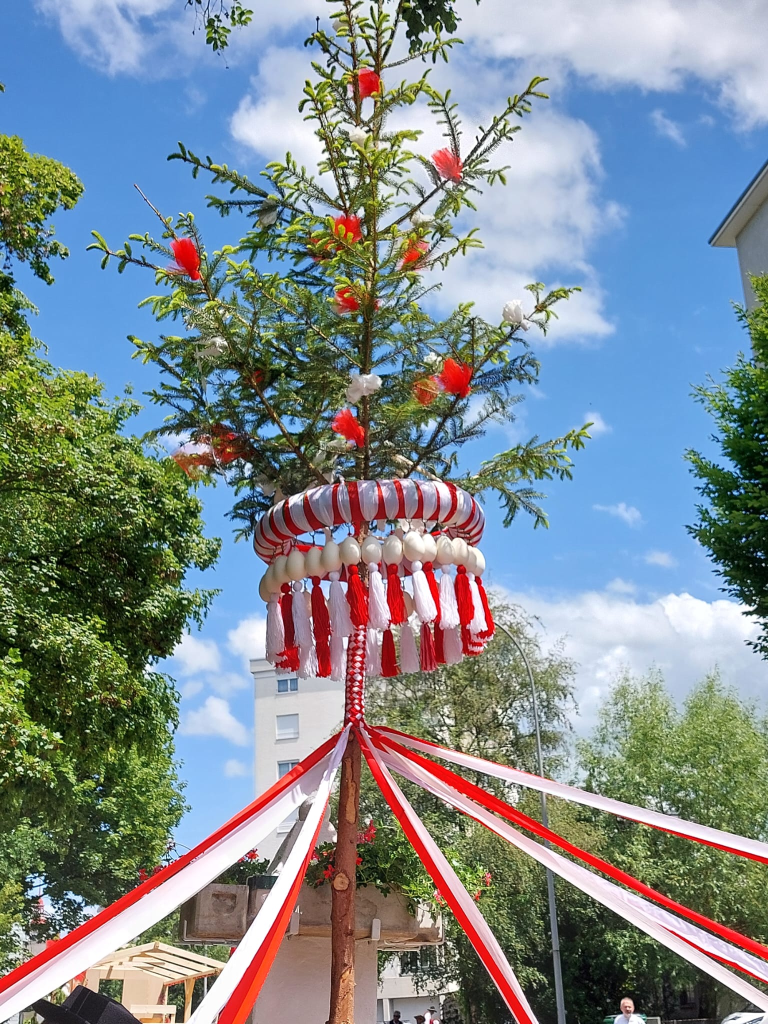image-21026